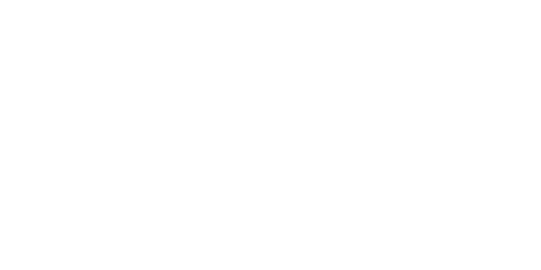 넷윈 솔루션 logo